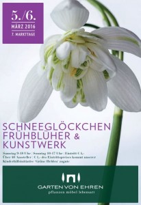 Schneegl 246 Ckchen-206x300 in